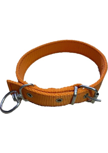 Köpek Boyun Tasması 60 cm Turuncu