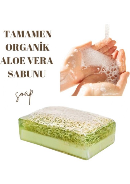 Kabak Lifli Aloe Vera Sabunu Gençlik Iksiri
