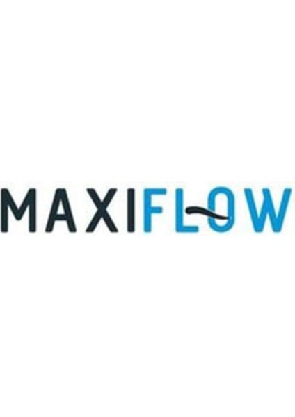 Maxıflow Ayaklı Wc Fırçalık Set