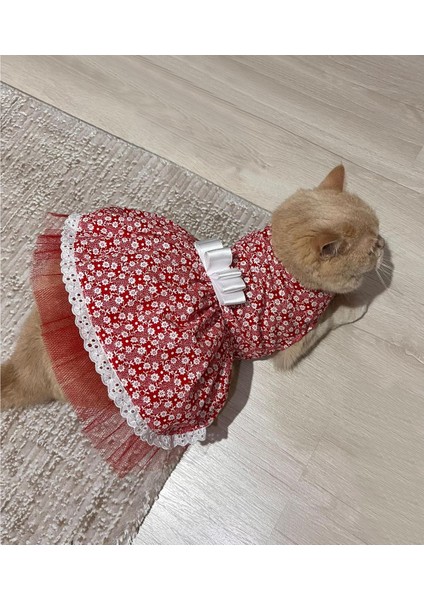 Beyaz Çiçek Desenli Fiyonklu Kırmızı Kedi Köpek Kıyafeti Elbisesi indirimleri