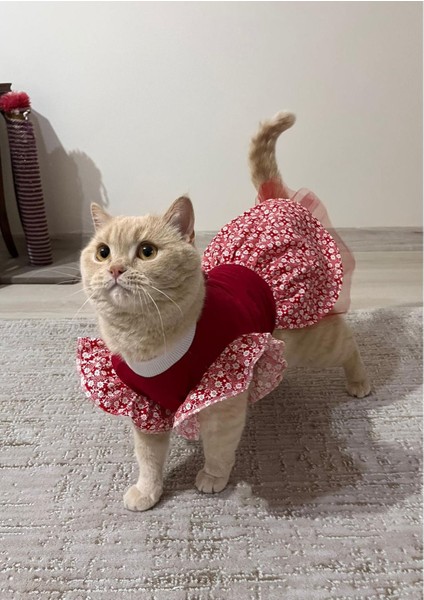 Çiçek Desenli Papyonlu Kırmızı Kedi Köpek Kıyafeti Elbisesi