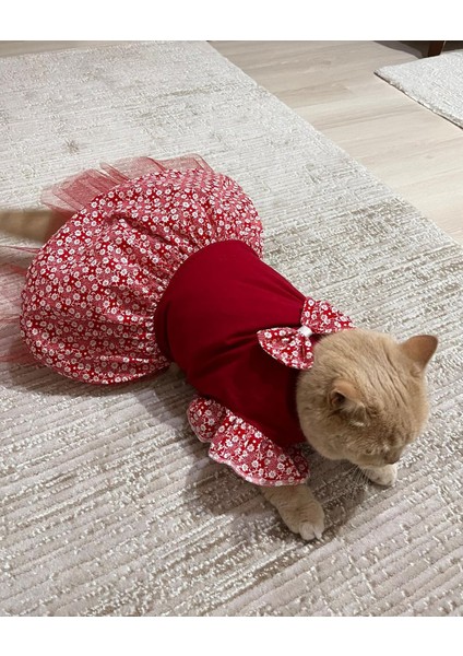 Çiçek Desenli Papyonlu Kırmızı Kedi Köpek Kıyafeti Elbisesi