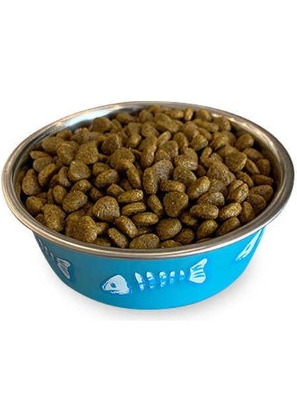 Low Grain Delicate Kuzu Etli Kedi Maması 1 kg x 10 adet