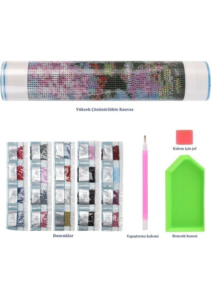 Ozantuhafiye Hı Stone 5d Elmas Boncuk Taş Işleme Mozaik Goblen Kit 50X40CM GC78635 modelleri