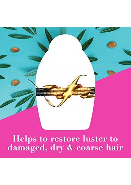 Yenileyici Argan Oil Of Morocco, 100 ml modelleri