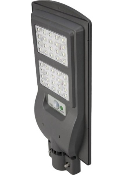 CT-4691 40W Solar Sokak Armatürü(Beyaz)
