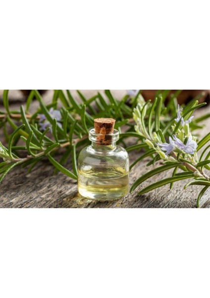 Biorganix Life Biberiye Yağı 20 ml Rosemary Oil