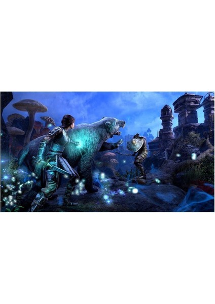 The Elder Scrolls Online: Tamriel Unlimited Ps4 Oyun