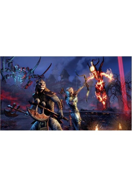 The Elder Scrolls Online: Tamriel Unlimited Ps4 Oyun