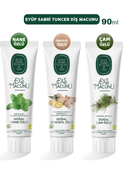 Diş Macunu Nane, Zencefil ve Çam 90 ml