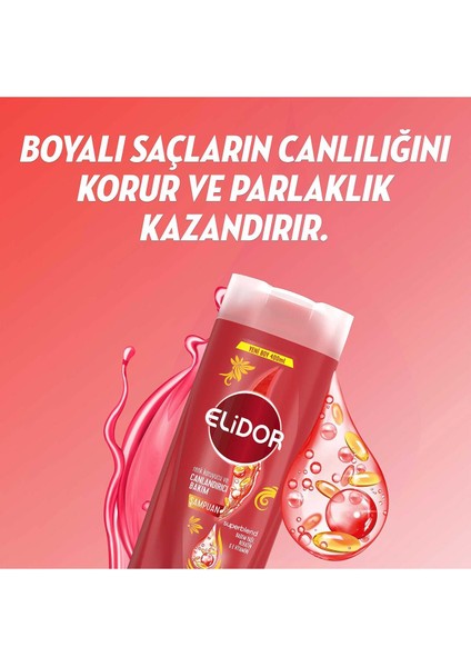 Superblend Saç Bakım Şampuanı Renk Koruyucu ve Canlandırıcı Bakım 400 ml X3