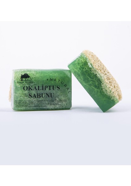 Okaliptus Sabunu 130GR. Ekstra Büyük Boy Kabak Lifli