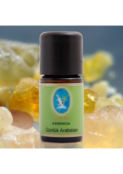 Günlük Yağı ( Arabistan ) 5 ml
