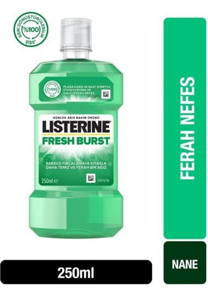 Fresh Burst Ağız Bakım Ürünü 250 ml