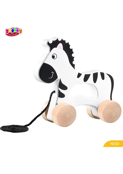 Zebra Araba