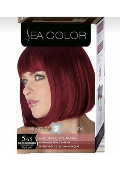 2 Li Saç Boyası 5.65 Çilek Kızılı 1 Kutu Içerisinde 2 Tüp Boya 5.65 Çilek
