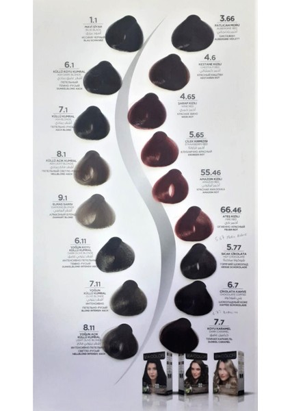 Ea Color Saç Boyası 1 Adet Yoğun Sarı 9.00 modelleri