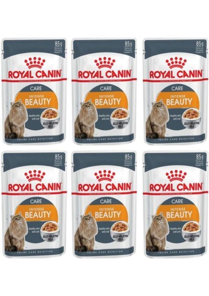 Royal Canin Intense Beauty Jel Içinde Yetişkin Kedi Konservesi 85GR 6 Adet