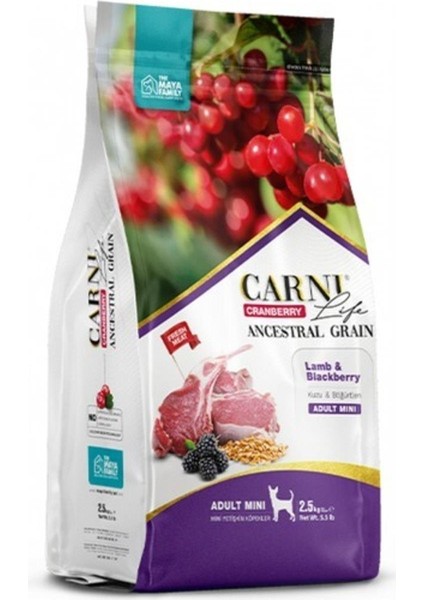 Life Cranberry Düşük Tahıllı Lamb & Blackberry Mini Yetişkin Köpek Maması 2500 G