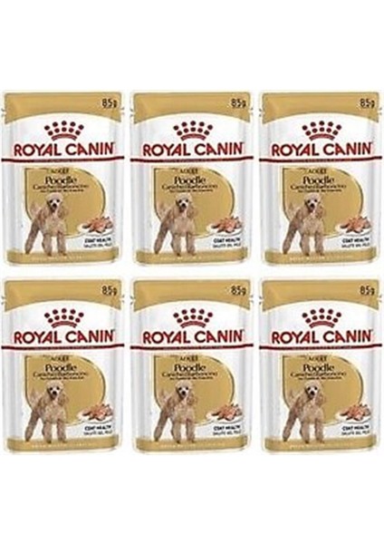 Poodle Adult Köpek Maması 3 kg Poodle modelleri