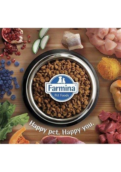 Ancestral Graın Kuzu Etli Yaban Mersini Düşük Tahıllı Yetişkin Köpek Maması 2,5 kg indirimleri