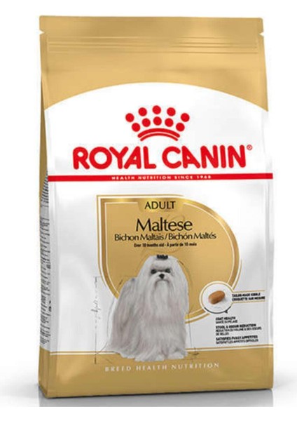 Maltese Bichon Maltais Köpek Maması 1.5 kg