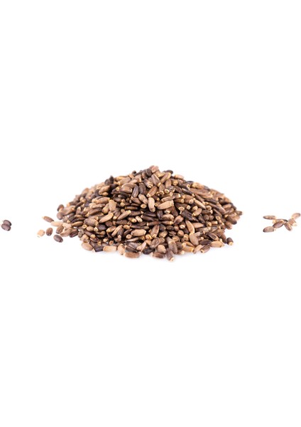 Deve Dikeni Tohumu 500 gr - Milk Thistle Seeds 500g