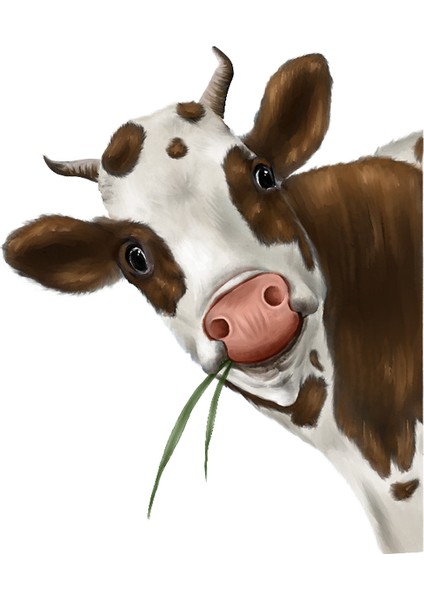 YY Store Inek Duvar Çıkartmaları Hayvan Pencere Çıkartmaları Oturma Odası Odası Dekorasyon Duvar Çıkartmaları Kendinden Yapışkanlı Duvar Çıkartmaları (Yurt Dışından)