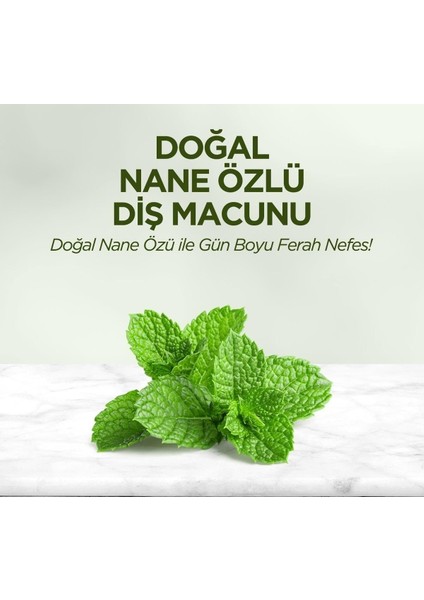Eyup Sabrı Tuncer Doğal Nane Özlü Diş Macunu 90 ml