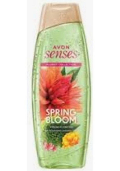 Senses Sprıng Bloom
