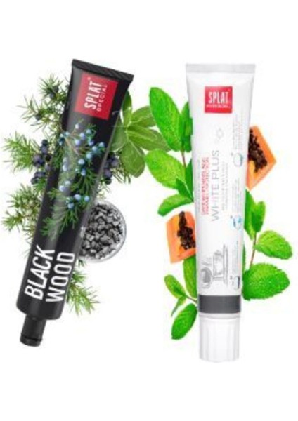 Blackwood Siyah Diş Macunu Güçlü Beyazlatma Etkisiyle 75 ml Ferahlatıcı Aroma