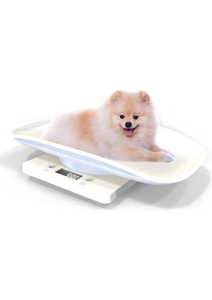 Küçük Pet Ölçek Dijital Taşınabilir Köpek Kedi Ölçeği Elektronik Mutfak Gıda Ölçeği ile LCD Ekran (Yurt Dışından)