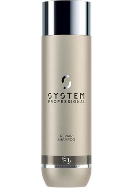 Professionals System Professional Repair Şampuan 250ML 80056105669993