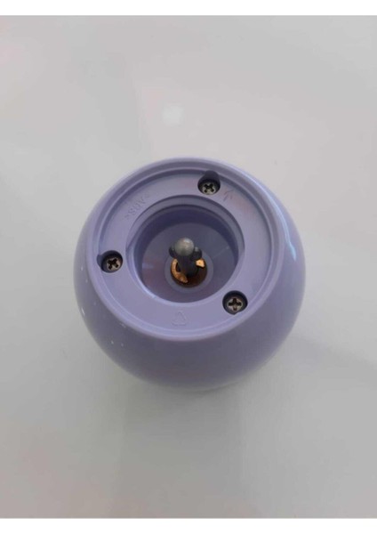 AR161 Soprano Çırpıcı Gövde Grubu-Lila AR161