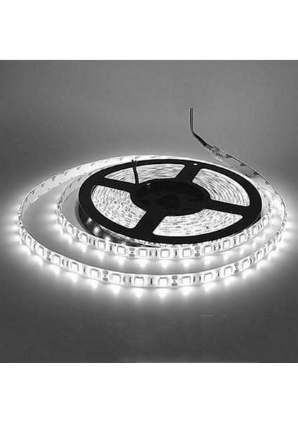 Inoled 4324-01 4040 Dahili Şerit LED BEYAZ-6500K LED Şerit