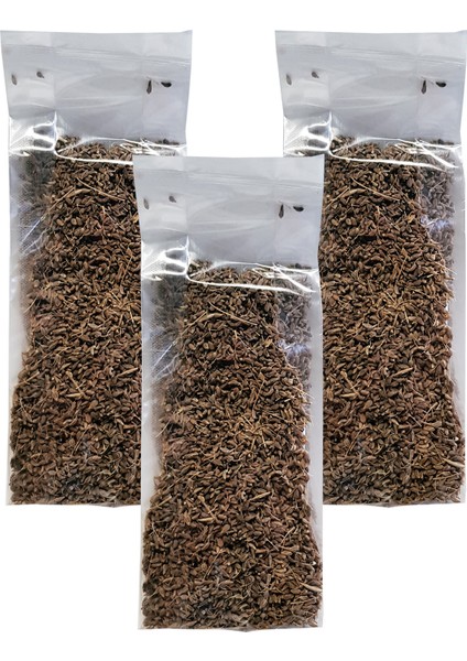 Anason 3 Paket Anason Tohumu