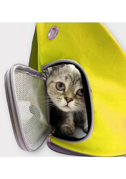 AlaPet Ufo Astronot Kedi Taşıma Çantası - 7 Hava Kanallı Pati Desenli 47X40X35CM (15KG) modelleri