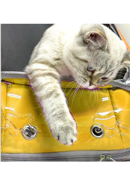 AlaPet Ufo Astronot Kedi Taşıma Çantası - 7 Hava Kanallı Pati Desenli 47X40X35CM (15KG) fırsatları