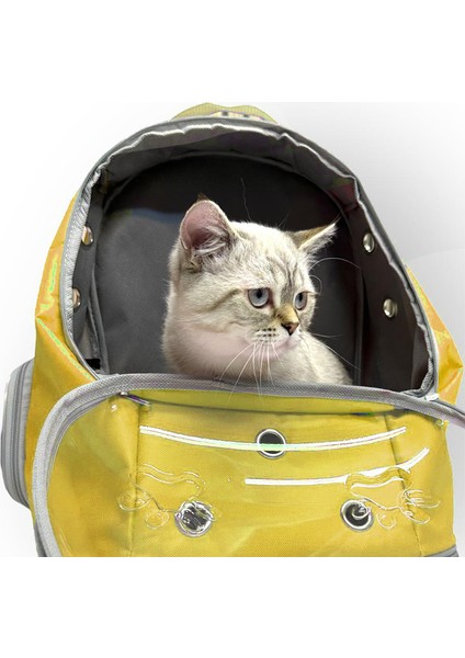 AlaPet Ufo Astronot Kedi Taşıma Çantası - 7 Hava Kanallı Pati Desenli 47X40X35CM (15KG) indirimleri