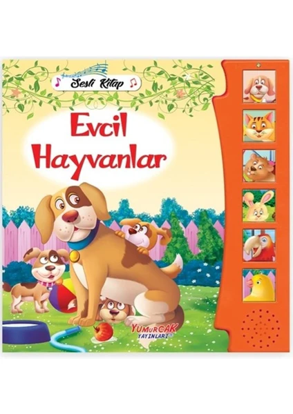 Bas Dinle Evcil Hayvanlar Sesli Kitap