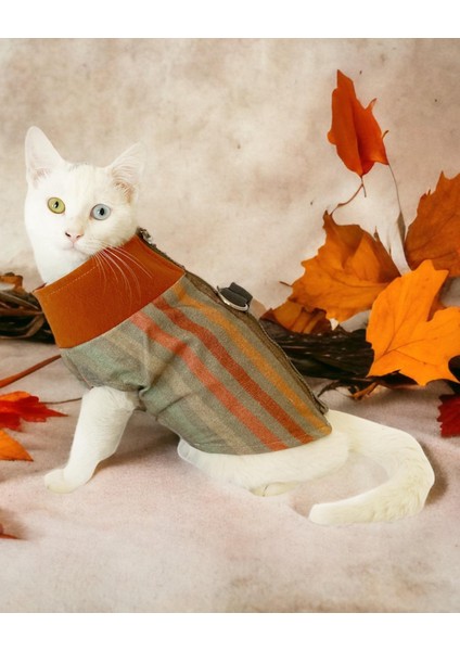 Stripe Orange Su Itici Kedi Yağmurluğu