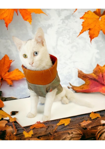 Stripe Orange Su Itici Kedi Yağmurluğu fiyatları