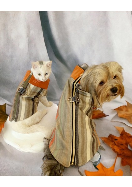 Stripe Orange Su Itici Köpek Yağmurluğu indirimleri