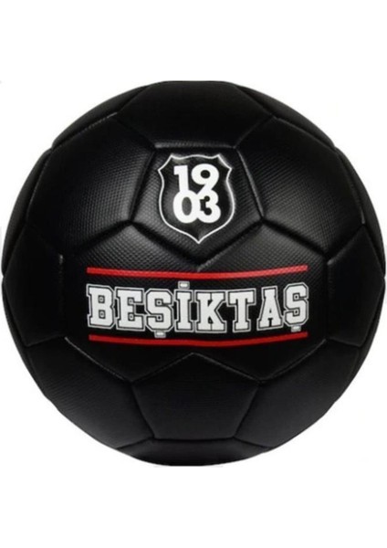 Beşiktaş Futbol Topu No:5 482657