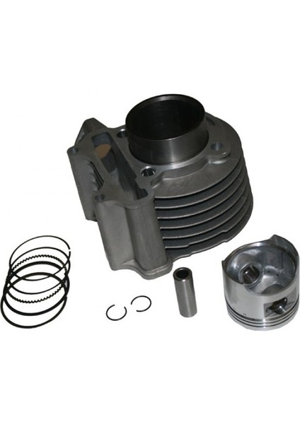 Loyal-Nt 100 Silindir Komple Orjinal