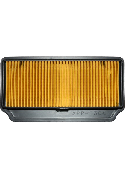 Crypton Hava Filtre Elemanı C8