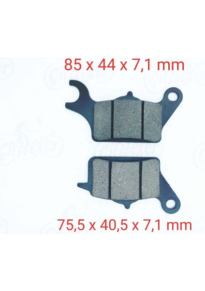 Honda Dio 110 Ön Fren Disk Balatası SFA652