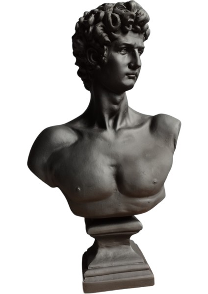 Dev Boy Siyah Davut Büst Heykeli fiyatları