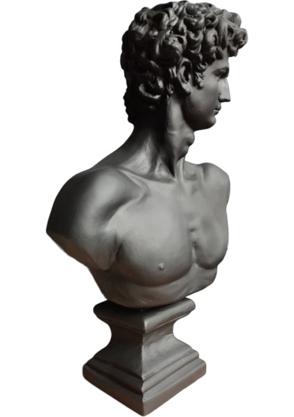 Dev Boy Siyah Davut Büst Heykeli modelleri