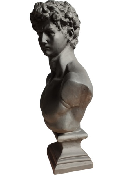 Dev Boy Siyah Davut Büst Heykeli fırsatları